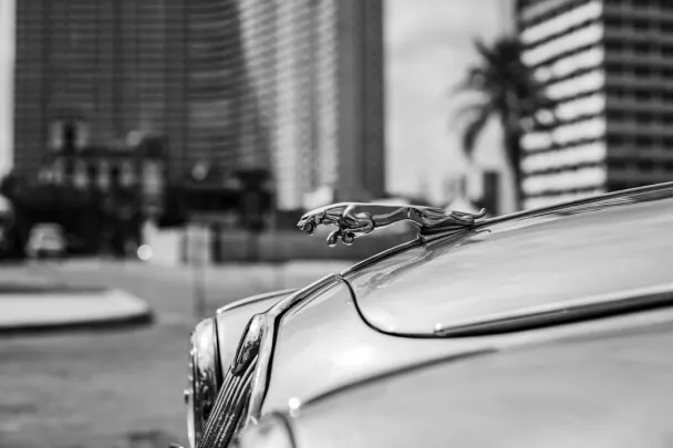 קזינו גולדן רילס אפליקציית Android/iOS